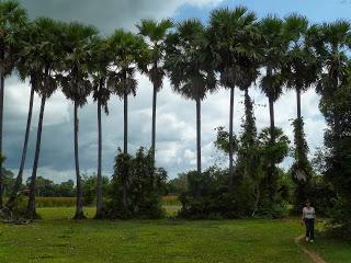 Cambogia: Siem Reap e le meraviglie di Angkor