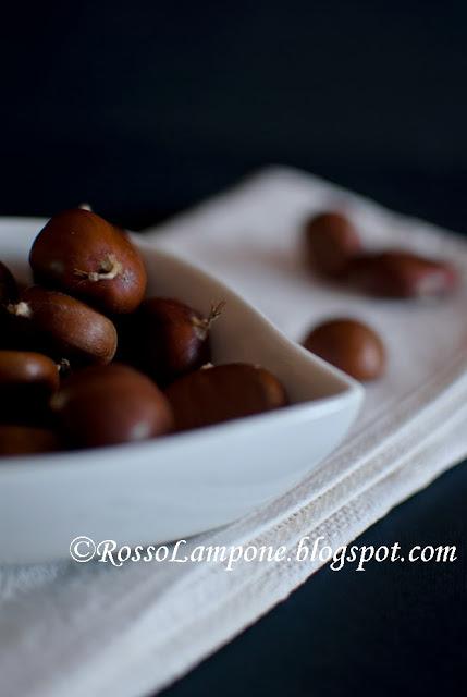 GENOISE ALLA CANNELLA CON MARRONI E CIOCCOLATO