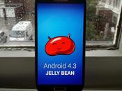 Finalmente Galaxy riceve Android Jelly Bean OTA, Download tramite Odin