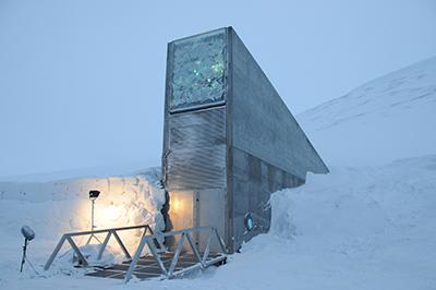 Viaggio nell’Artico, dentro il Global Seed Vault: qua si semina il futuro dell’umanità