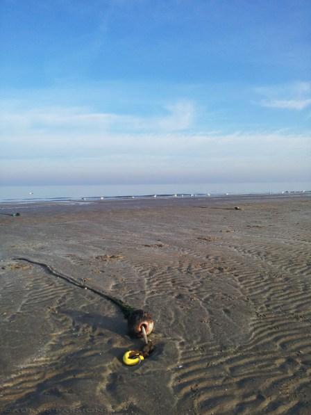 La foto della settimana: Cervia e il mare d’inverno