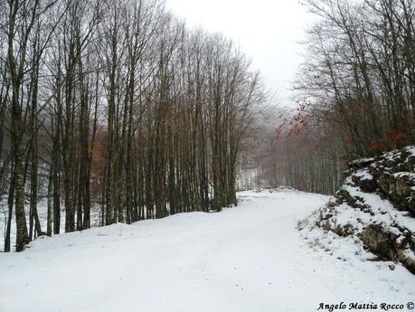 La prima neve sui miei monti