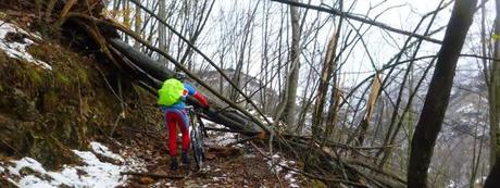 Ruote sulla neve...nonostante lo squaragnao