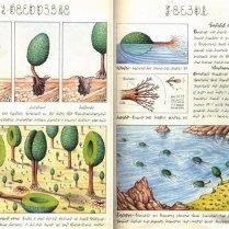 Codex Seraphinianus | Luigi Serafini