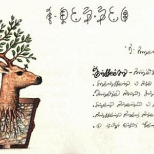 Codex Seraphinianus | Luigi Serafini