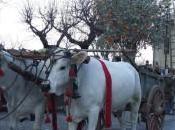 Frantoi Aperti: Giano dell’Umbria dell’Olio Festa della Frasca novembre dicembre 2013