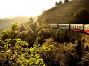 Quel Treno Shimla