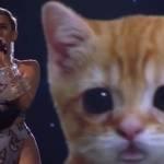 Miley Cyrus agli AMA 2013 canta in compagnia di un gatto (Video)