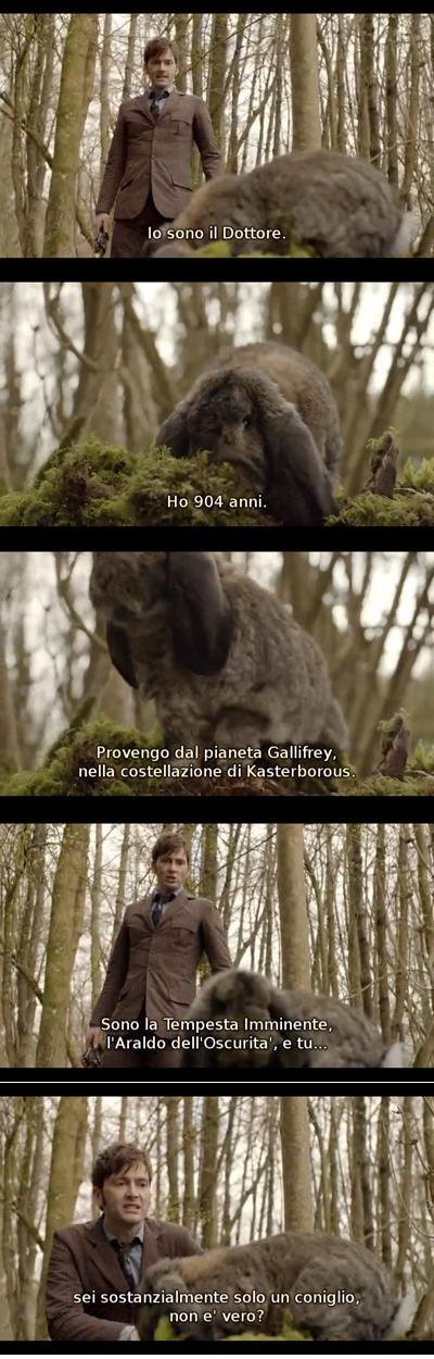 Doctor Who VS a rabbit