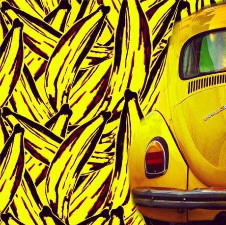 8e884c00789cd91e29caf22a25d2e1d2