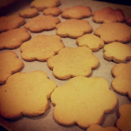 Biscotti con farina di riso e cocco