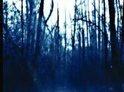 WEEKEND NACHOS, Still