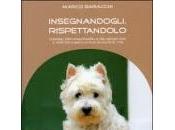 Recensione: Insegnadogli, Rispettandolo (Marco Baracchi)