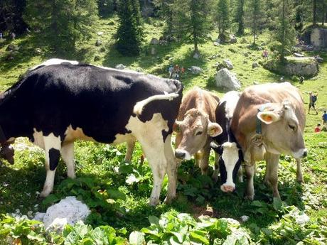 escursione al rifugio fiume