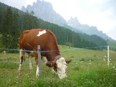 escursioni san martino di castrozza