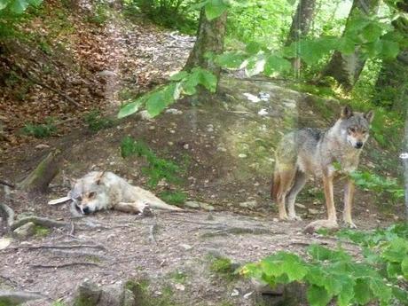 cosa fare sulla paganella