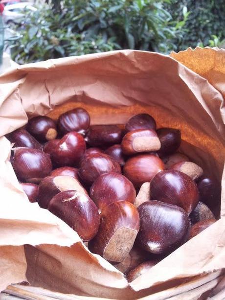 QUESTO MESE CASTAGNE!!!!  PER UN MTC ADORABILE!