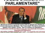 Decadenza: Berlusconi chiede revisione processo