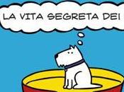 “Senza guinzaglio vita segreta cani”, Rupert Fawcett edizioni Sonda