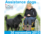 Assistence Dogs, cani disabili motori