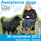 40879EBC32AA4B7D7DFE46993D083C00 Assistence Dogs, i cani e i disabili motori
