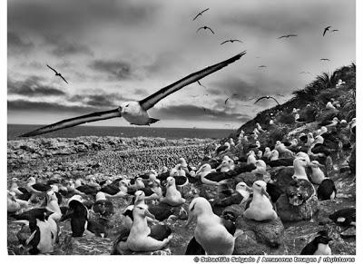 Il magico mondo di Sebastião Salgado