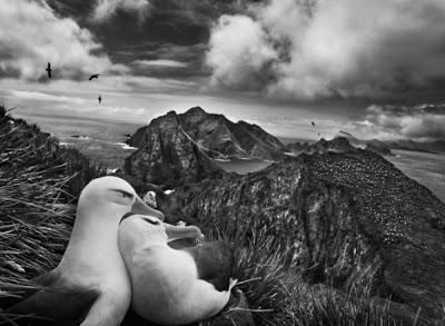 Il magico mondo di Sebastião Salgado