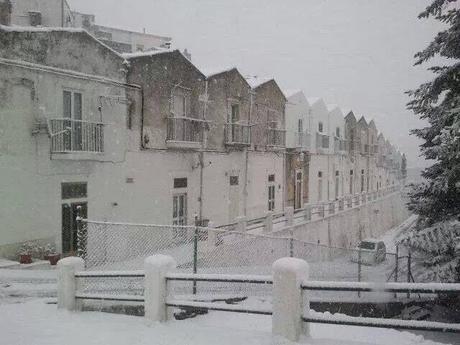 FOTO: Neve sul Gargano 2013 - Monte Sant'Angelo e Foresta Umbra