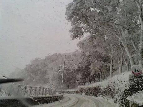 FOTO: Neve sul Gargano 2013 - Monte Sant'Angelo e Foresta Umbra