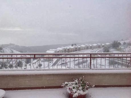 FOTO: Neve sul Gargano 2013 - Monte Sant'Angelo e Foresta Umbra