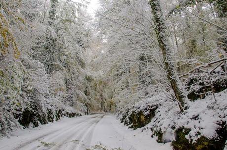 FOTO: Neve sul Gargano 2013 - Monte Sant'Angelo e Foresta Umbra