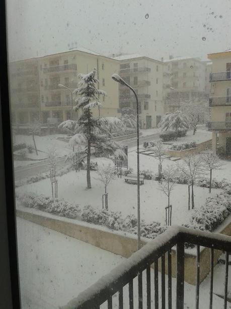 FOTO: Neve sul Gargano 2013 - Monte Sant'Angelo e Foresta Umbra