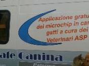 Terrasini, Domenica dicembre 2013 “Camper dell’anagrafe canina” piazza Falcone-Borsellino