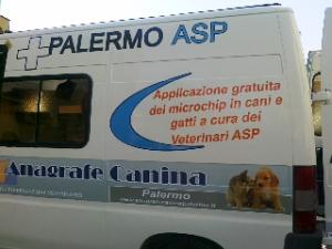 camper anagrafe canina