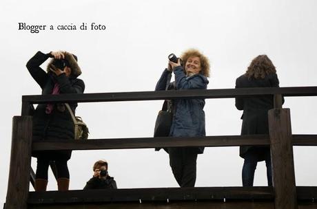 Cremosa bianca e Verde Laudemio. L'incredibile colore dell'eccellenza (parte prima)