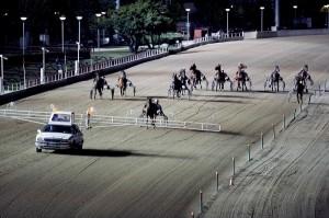 Ippodromo Vinovo - Foto di Massimo Pinca (41)