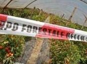 Effetto Terra Fuochi: agricoltura campana ginocchio