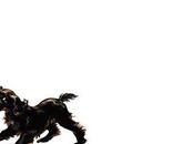 Protezione sole invernale