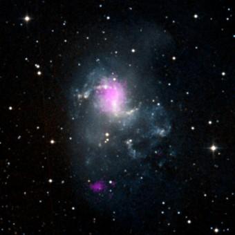 I punti viola in quest’immagine mostrano due buchi neri nella galassia NGC 1313, entrambi appartenenti alla categoria delle ULX, le sorgenti X ultraluminose. Il buco nero più vicino al centro galattico è stimato tra le 70 e le 100 masse solari, l’altro attorno alle 30. I dati sono stati ottenuti con il telescopio spaziale NuSTAR della NASA e sovraimposti a un’immagine della galassia della Digitized Sky Survey. Crediti: NASA/JPL-Caltech/IRAP