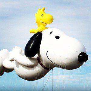 snoopy festa del ringraziamento 2013