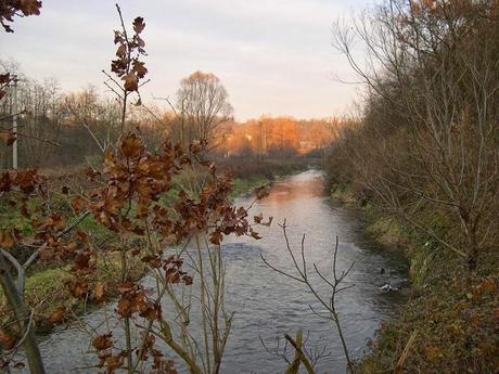 La biodiversità salverà l’Olona e i fiumi lombardi