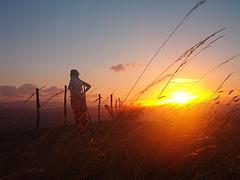 Coltiva i Sogni: Come Creare Buone Abitudini.