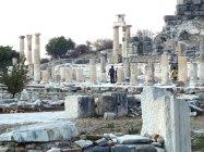 Efeso e Hierapolis