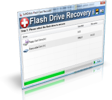 ss1 Flash Recovery 2.1 Gratis: Recuperare dati, documenti e foto cancellate da Hard Disk, memorie di fotocamere e cellulari su Windows