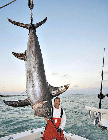 Strana creatura pescata a Miami Beach