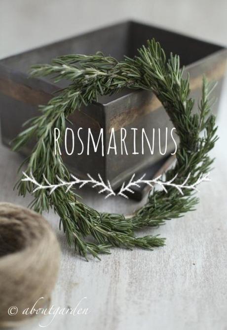 rosmarinus wreath