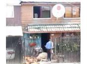 Cane aiuta padrone portare legna casa (Video)