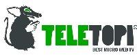 Assegnati i Teletopi 2013, gli oscar per le migliori web tv italiane