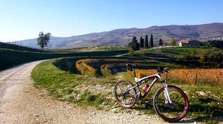 Uscita mtb del 29/11, 2013 ovvero..due colli in meno.