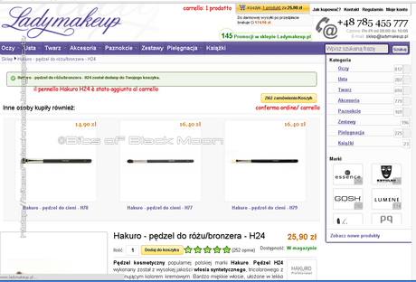 [How To] - Pennelli Hakuro - Guida all'acquisto su Ladymakeu.pl